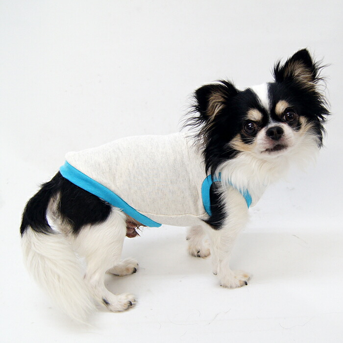 楽天市場】熟練犬服工房タンクトップ・ボルゾイ4サイズ型紙(ばらばら