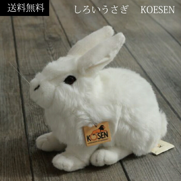 楽天市場】しろいうさぎ ぬいぐるみ 上質 ケーセン 小さい 可愛い