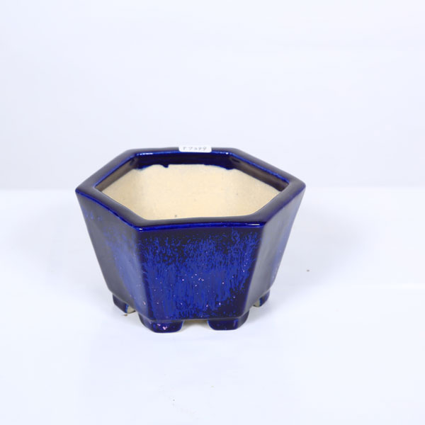 鴻陽 やや大きめ 盆栽鉢 鴻陽 やや大きめ 盆栽鉢 鴻陽 やや大きめ 盆栽鉢