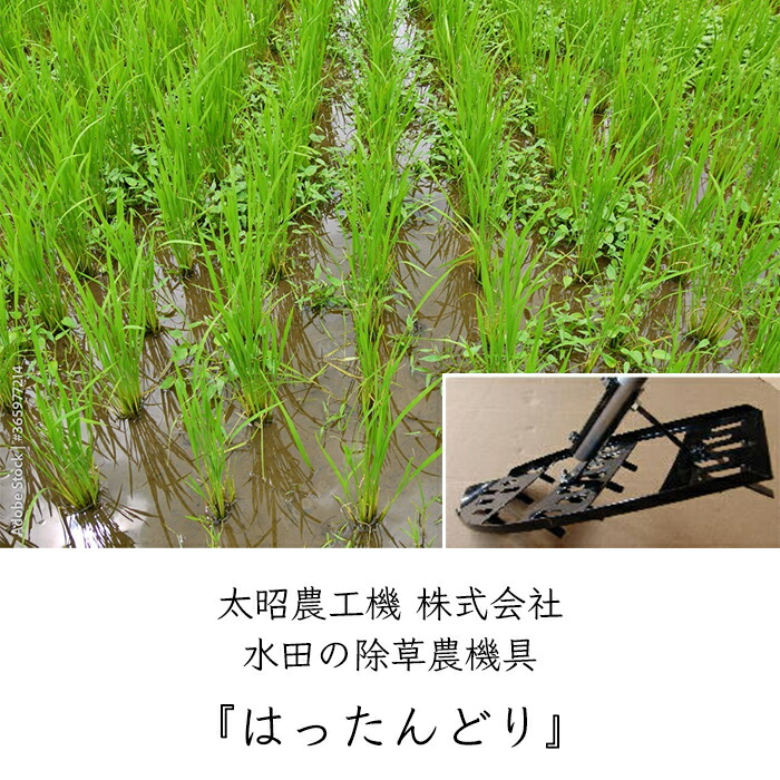 楽天市場】太昭農工機 水田用草取り機 はったんどり 《メーカー直送 S