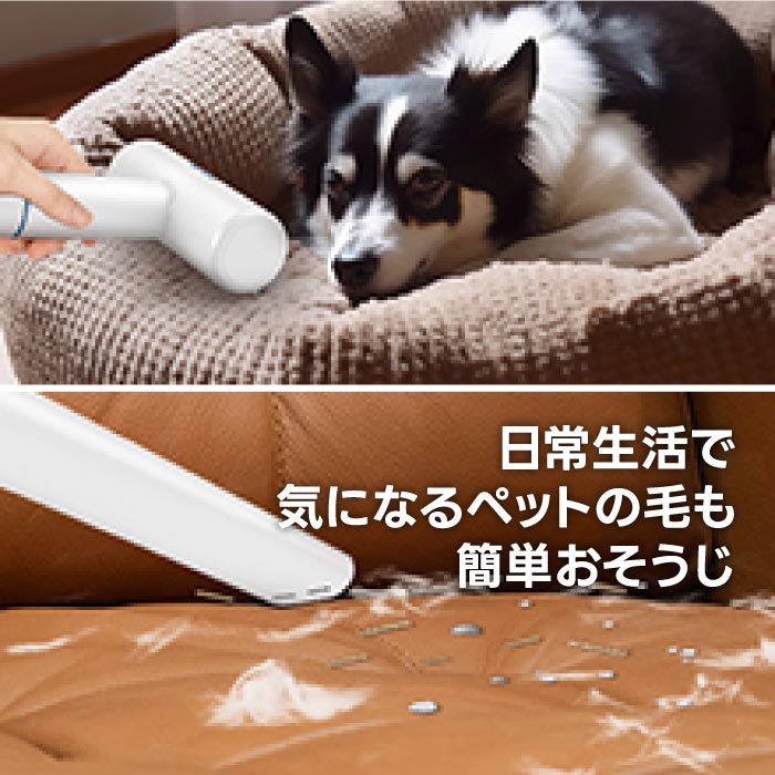 楽天市場】ペット用バリカン ブラシ ペットドライヤー ペット掃除機