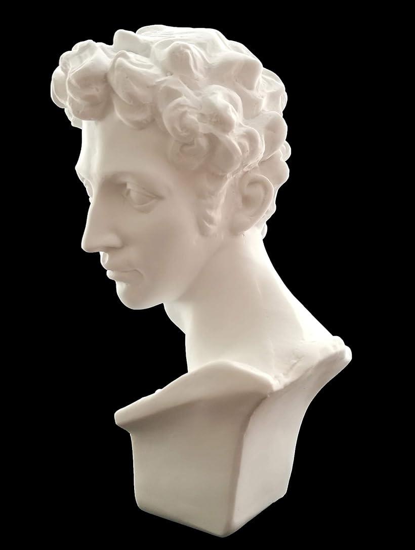 楽天市場】【楽天ランキング1位入賞】自宅が美術館 石膏像風 人物像