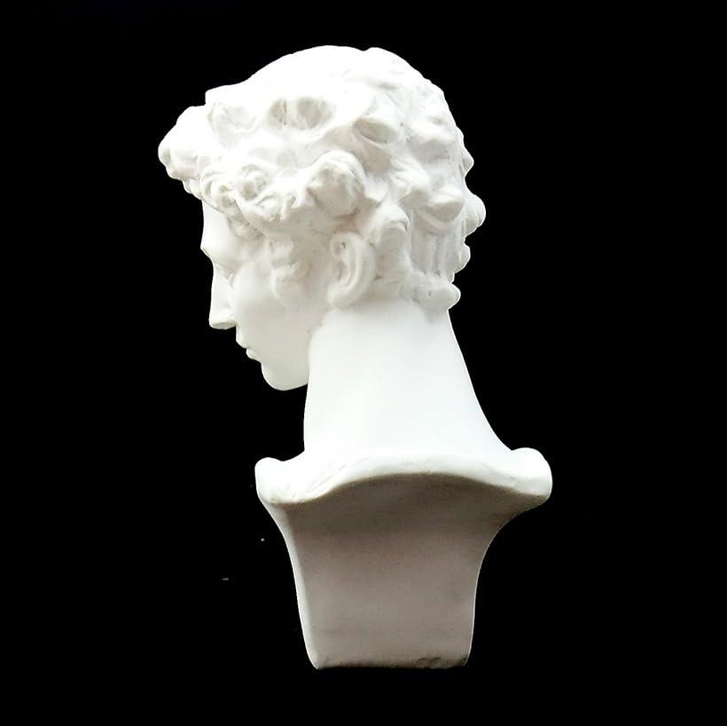 楽天市場】【楽天ランキング1位入賞】自宅が美術館 石膏像風 人物像