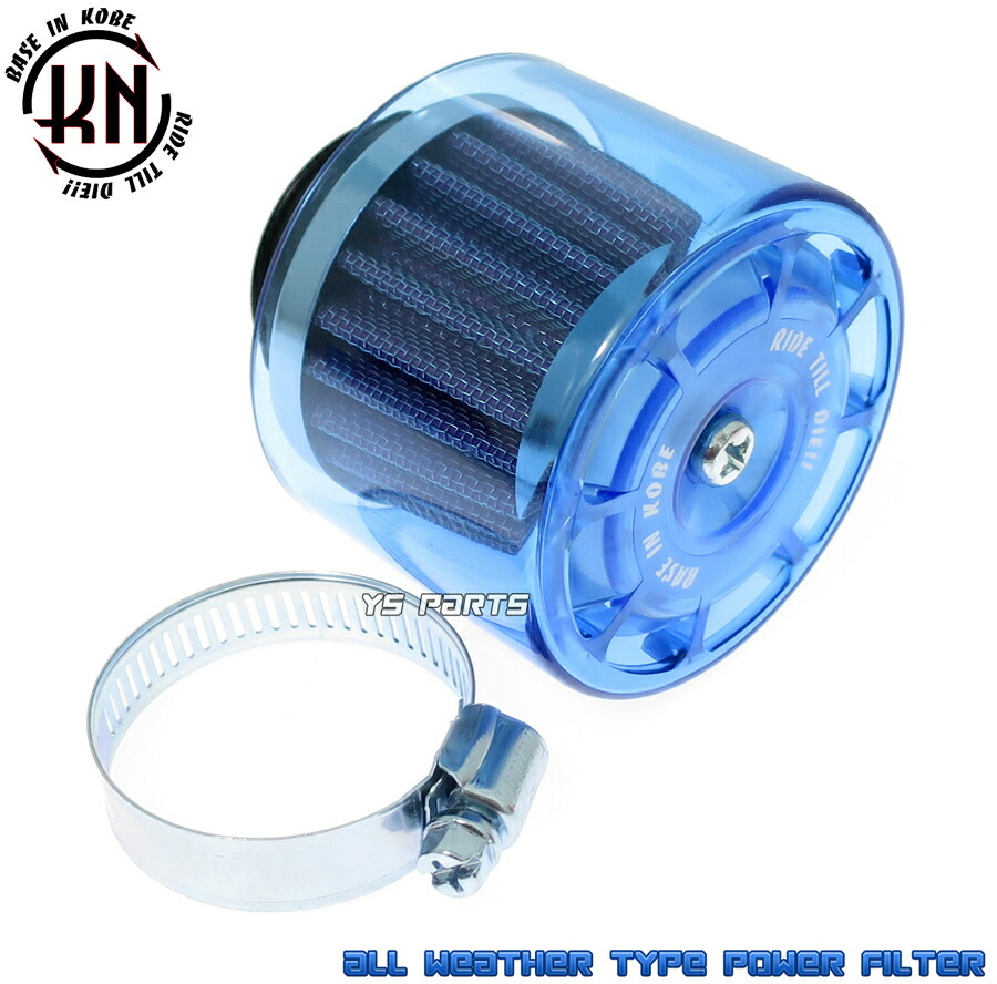 パナマ産 オプティマキンイロコガネ 25mm 【公式通販】