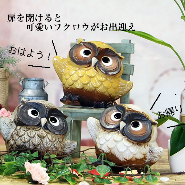 楽天市場】ふくろう 送料無料 踊りふくろう 選べる4色 信楽焼 梟 置物