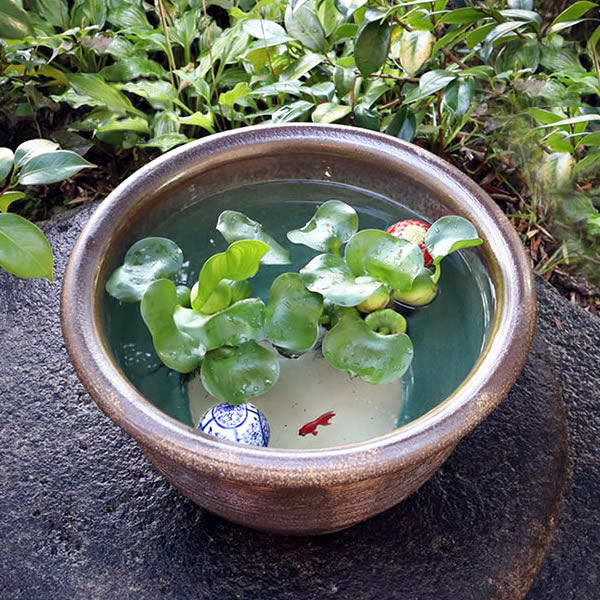 楽天市場】【今だけ限定10%OFFクーポン配布中】13号窯肌クシ目水鉢