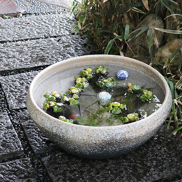 睡蓮鉢 大鉢 脚付き メダカ鉢 華器 睡蓮鉢 大鉢 脚付き メダカ鉢 華器