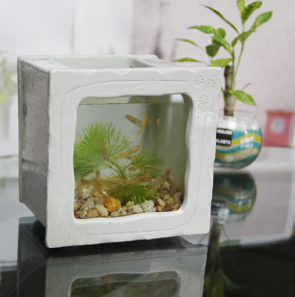 楽天市場】【今だけ限定10%OFFクーポン配布中】信楽焼 水槽 角型小