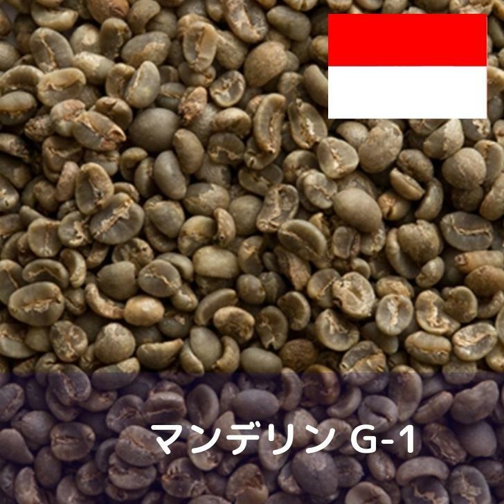 楽天市場】コーヒー生豆 マンデリン G−1 1kg 送料無料 コーヒー豆