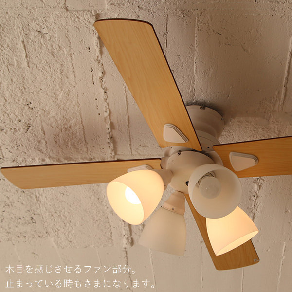 楽天市場】特典付き！ plusmore 【 シーリングファンライト Windouble