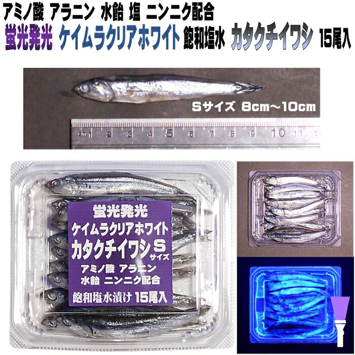 楽天市場】釣り餌 セグロイワシ 片口イワシ 背黒イワシ アミノ酸 激臭
