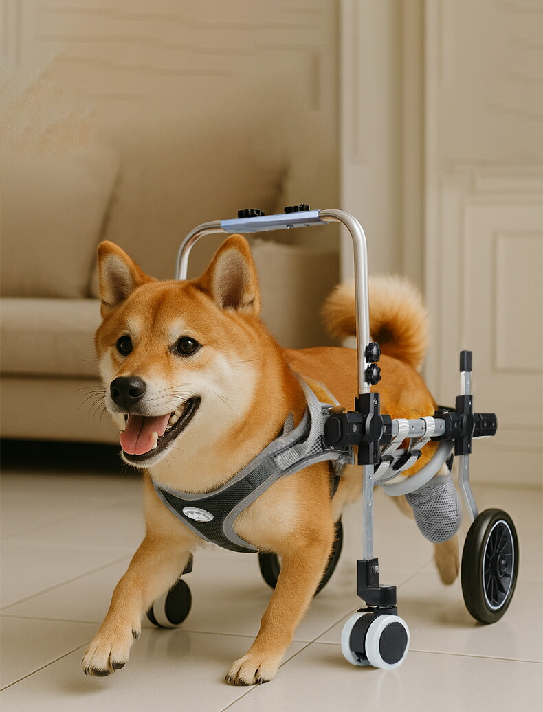 楽天市場】犬用車椅子 四輪 軽量 【ランキング1位】安定設計 歩行補助