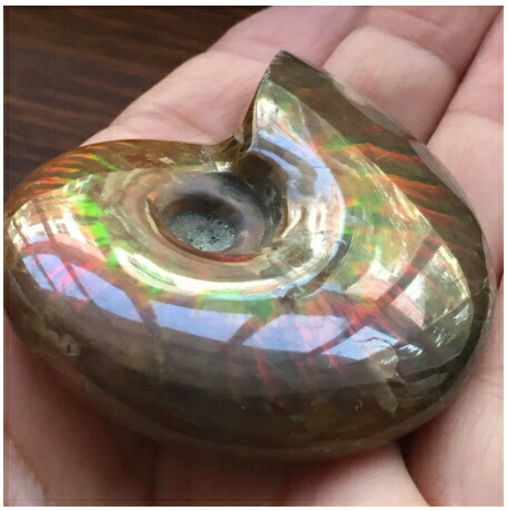 楽天市場】天然 虹色 アンモナイト アンモライト 40-50mm ファセット