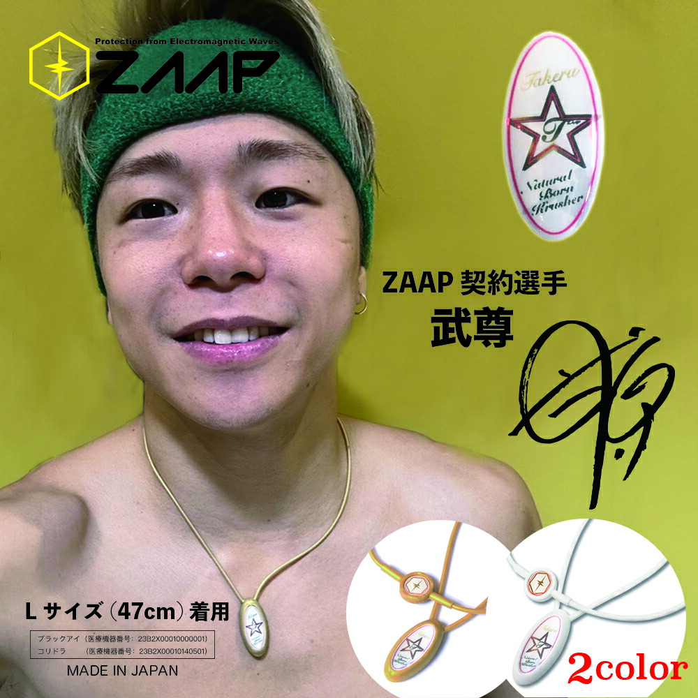 楽天市場】【公式】健康機器 ネックレスZAAP Slico×武尊 2023モデル
