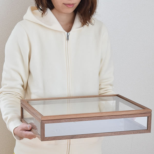 La Luz（ラ・ルース） ガラス ジュエリーボックス 木製 透明標本箱