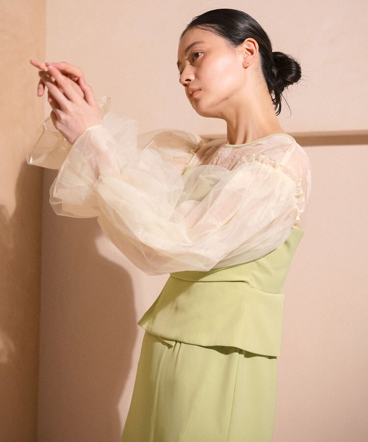 ANDRESD】draped bustier flocky dress／アンドレスド（ANDRESD