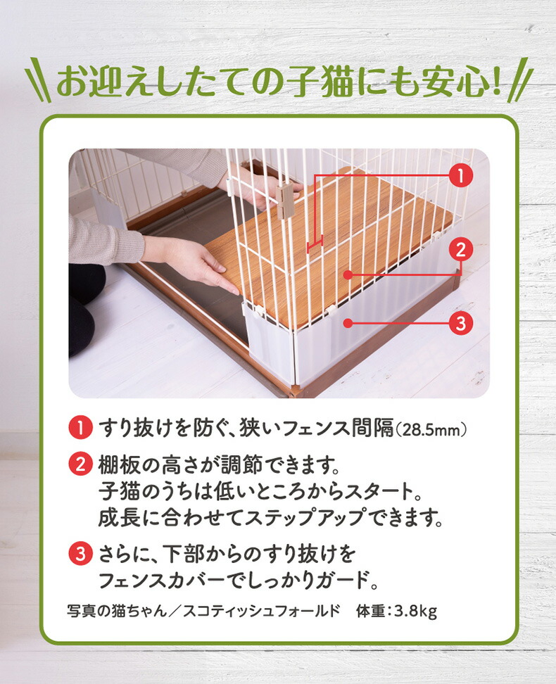 楽天市場】【LINE追加で500円OFF！】[ホーミー]Homey 木製フレーム