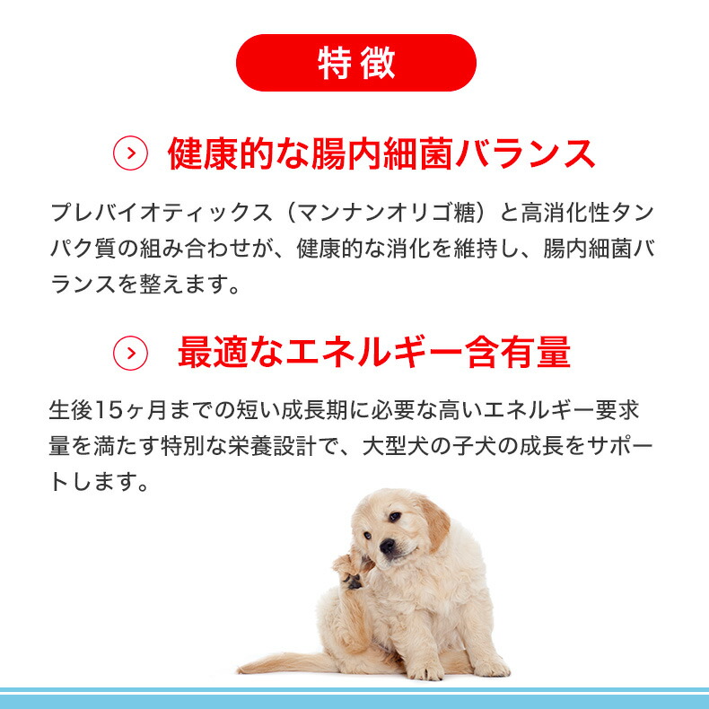 楽天市場】【LINE追加で500円OFF！】ロイヤルカナン マキシ パピー 4kg