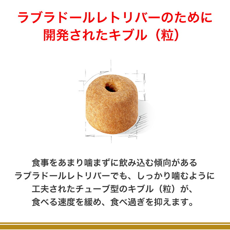 楽天市場】【6%OFFクーポン対象｜LINE追加で500円OFF！】ロイヤル