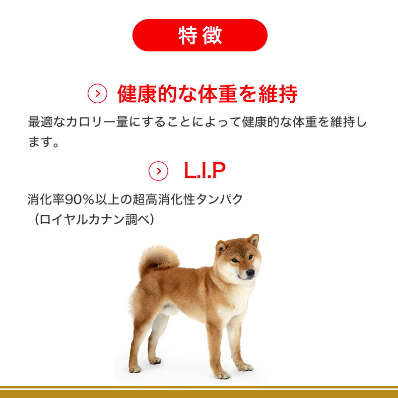 ロイヤルカナン柴犬成犬用16キロ ロイヤルカナン BHN 柴犬 （成犬用