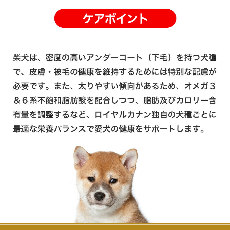 楽天市場】【LINE追加で500円OFF！】ロイヤルカナン 柴犬 子犬用 3kg