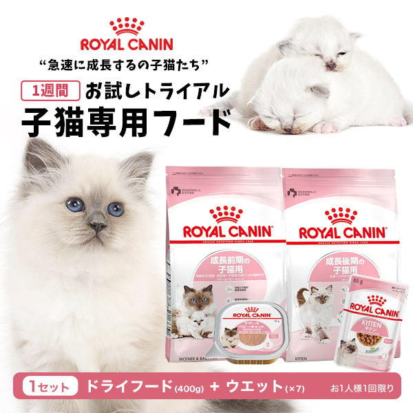 楽天市場】【LINE追加で500円OFF！】ロイヤルカナン 子猫用 お試し