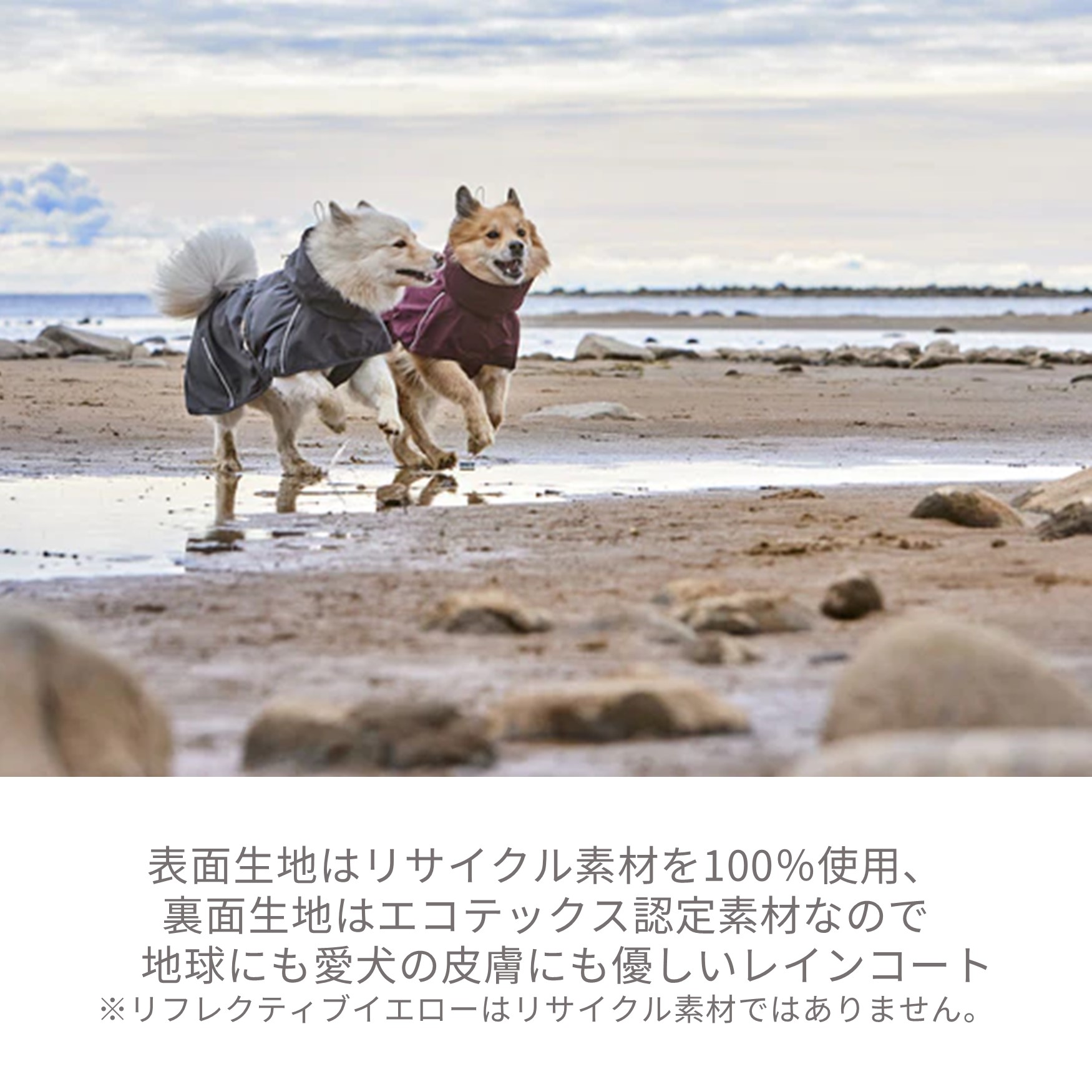 楽天市場】【Hurtta】【フルッタ】・レインジャケット「マッド