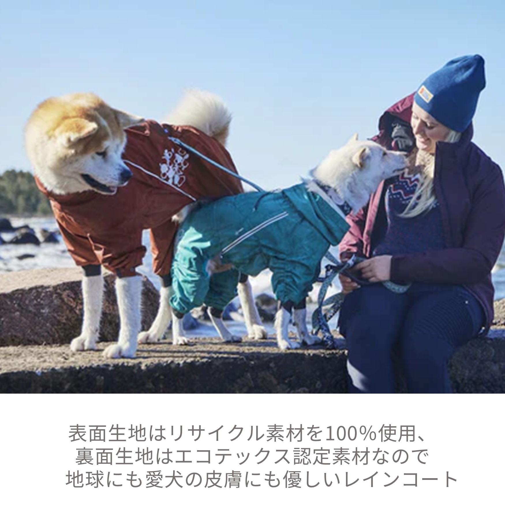 楽天市場】【Hurtta】【フルッタ】・ドッグレインコート 「MudVenture