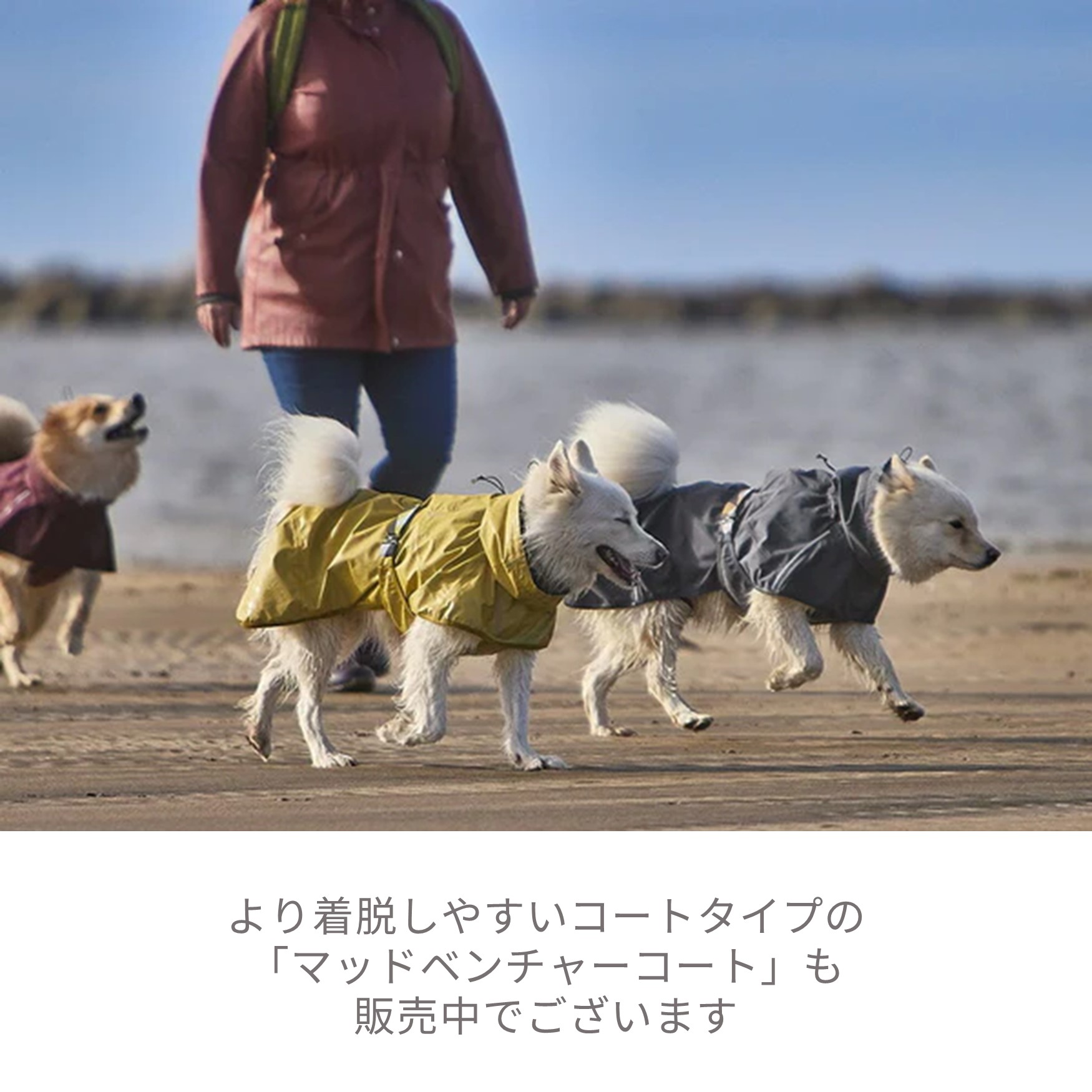 楽天市場】【Hurtta】【フルッタ】・ドッグレインコート 「MudVenture