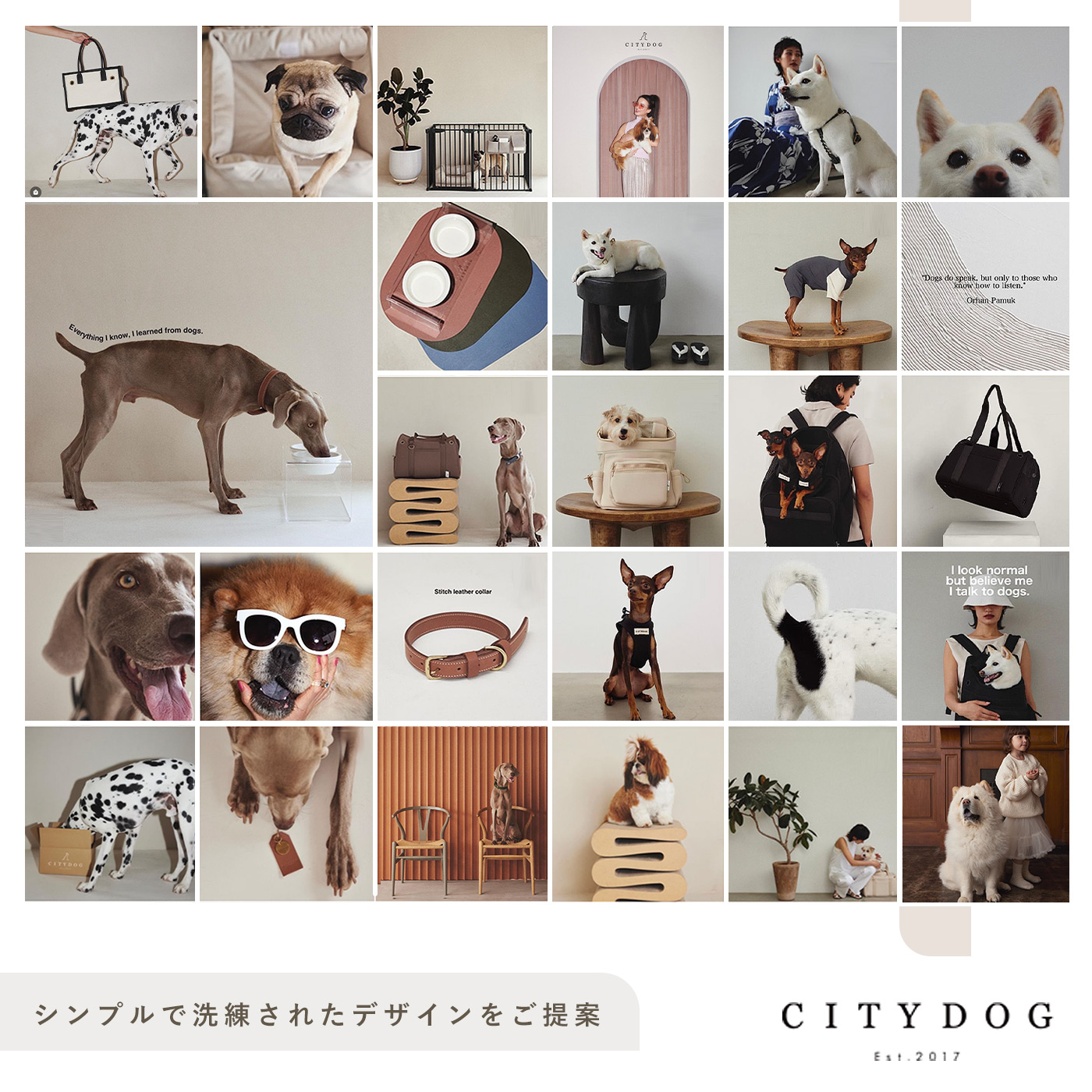 楽天市場】犬 リード おしゃれ ｜ 本革 革 伸縮 首輪 お洒落 かわいい