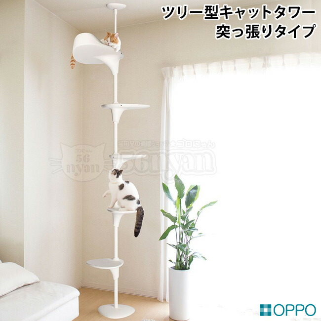 楽天市場】OPPO CatForest2 キャットフォレスト2 ホワイト (04344) Cat