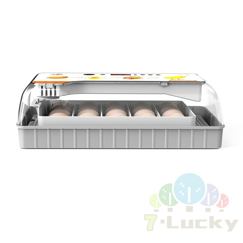 楽天市場】自動孵卵器 インキュベーター 孵卵器 大容量 検卵ライト 入