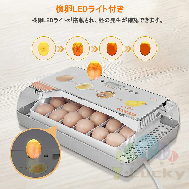 楽天市場】自動孵卵器 インキュベーター 孵卵器 大容量 検卵ライト 入