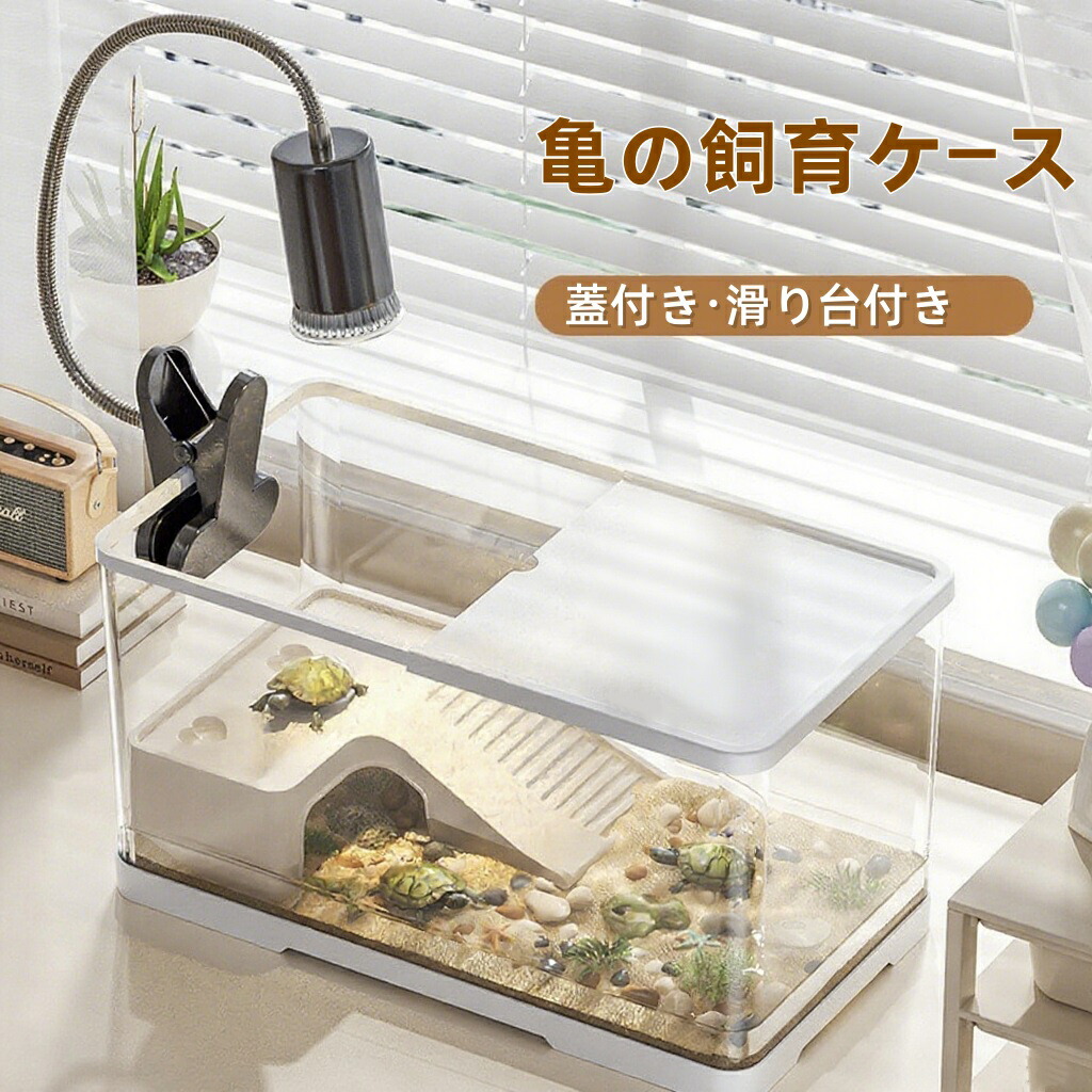 楽天市場】爬虫類 ケージ セットの通販