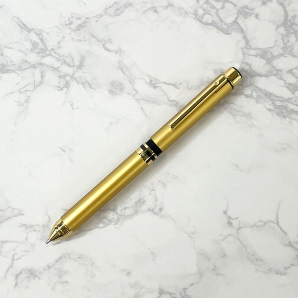 楽天市場】【数量限定!!取扱店一部のみ*名入れ不可*】シャーボX ゼブラ