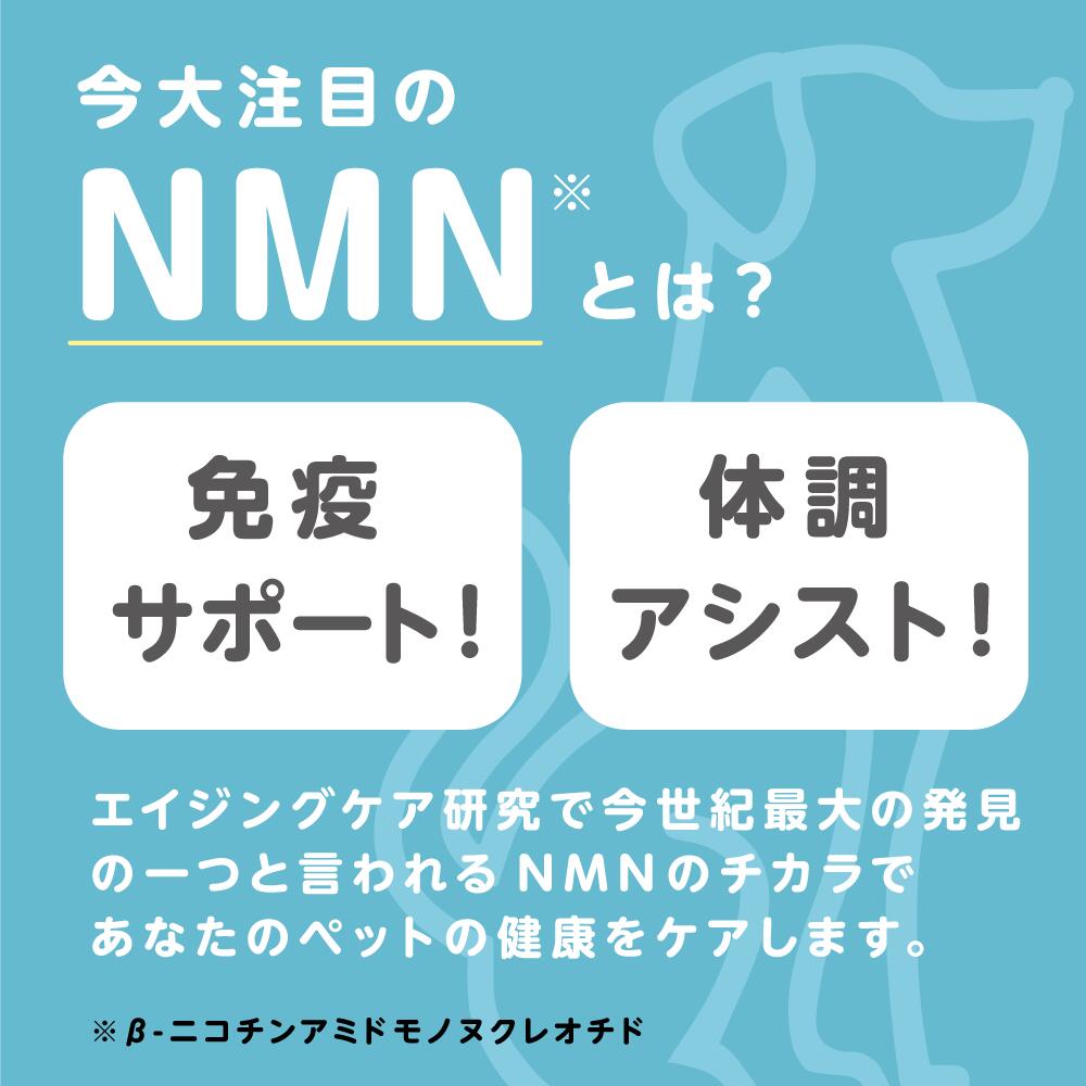 楽天市場】ペット用 β-NMN for PET NMN 60粒 nmn 国産 ペットサプリ 犬