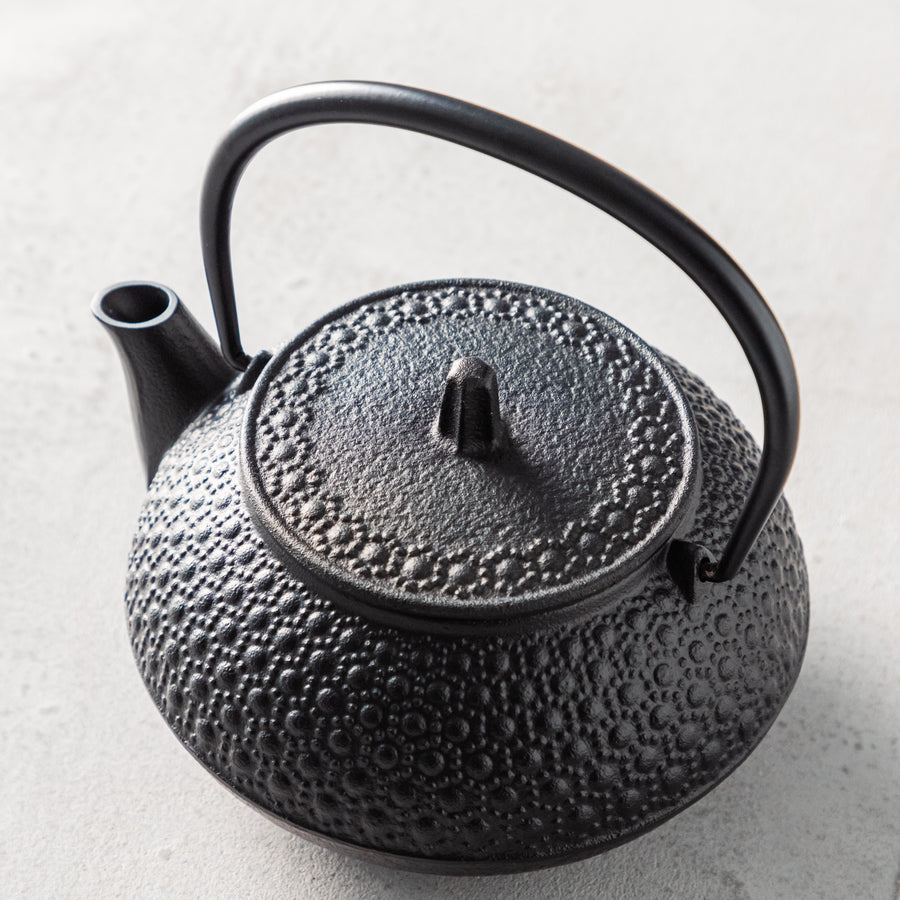 ガラス専門店｜南部鉄器｜岩鋳｜鉄瓶兼用急須 5型新亀甲 – TSUCHI-YA