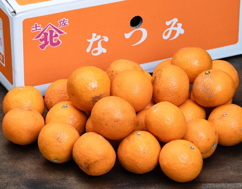 なつみかん 名古屋市近郊限定手渡のみ名古屋市中村、北区配送無料