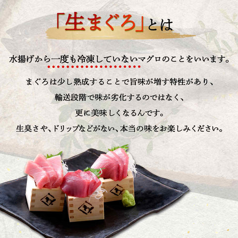 生本マグロ 中トロ柵 – 築地わだつみ