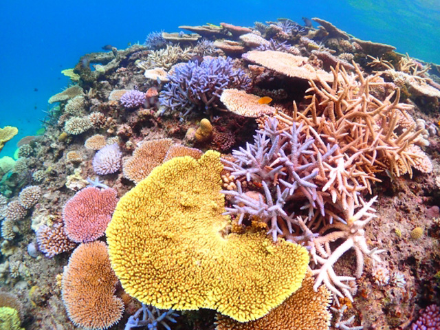 プロが使う】おすすめ人気のメタハラ（メタルハライドランプ）ベスト5