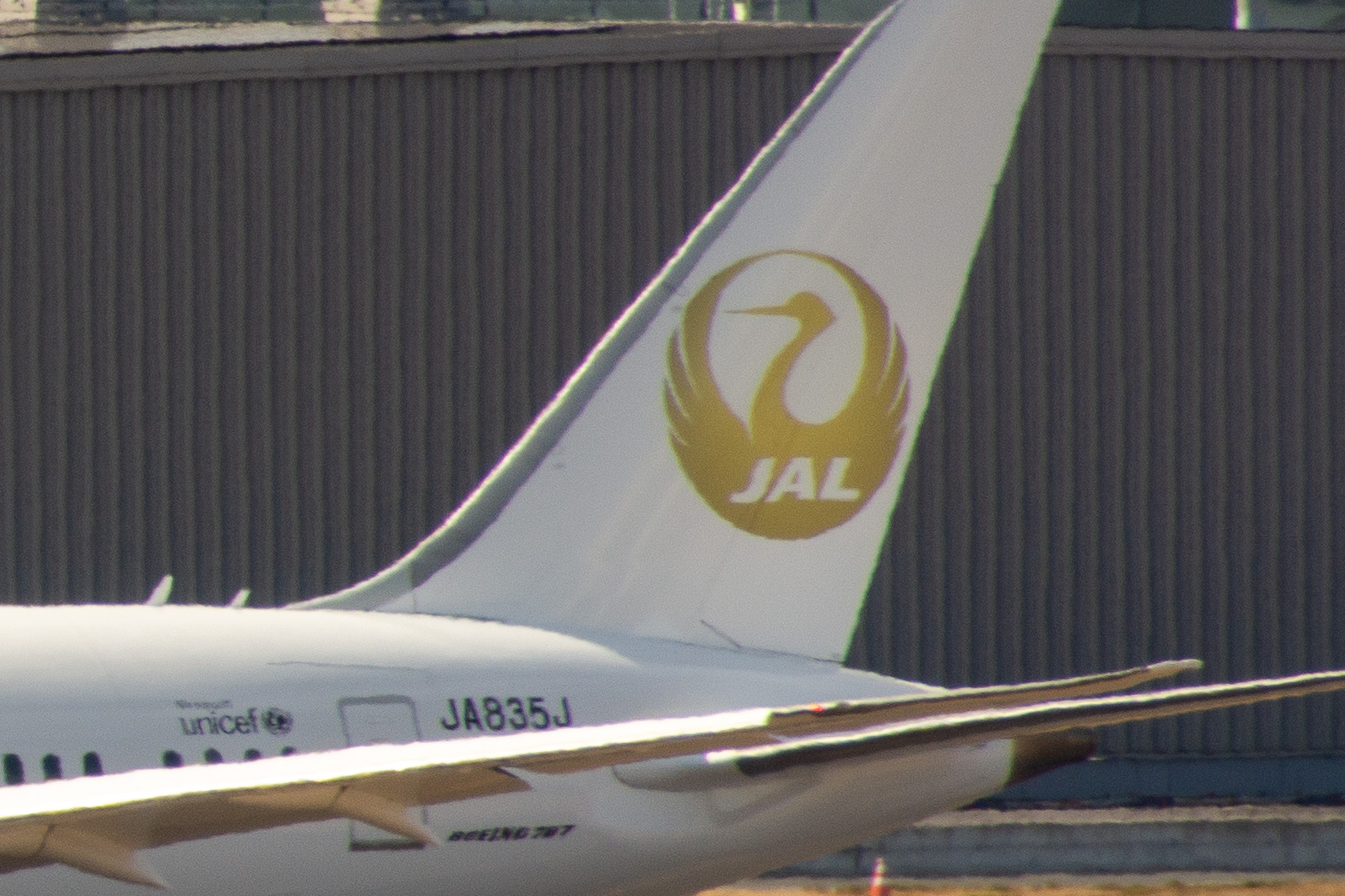 JAL、金の鶴丸が突如羽田に出現！ 北京冬季五輪の選手激励のため