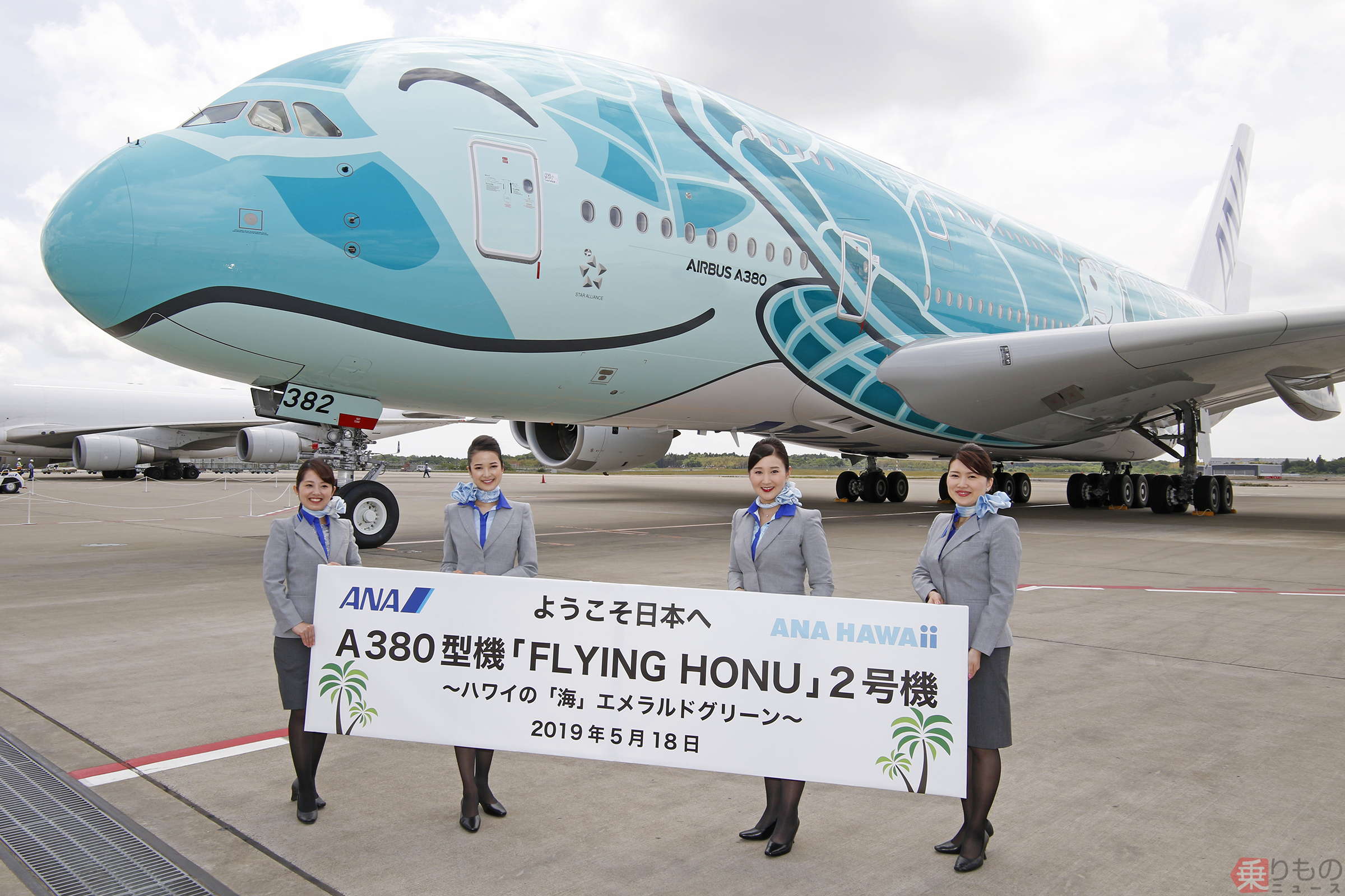 ハワイ限定】 ホヌ ブルー 大 ANAのエアバスA380型機「フライングホヌ