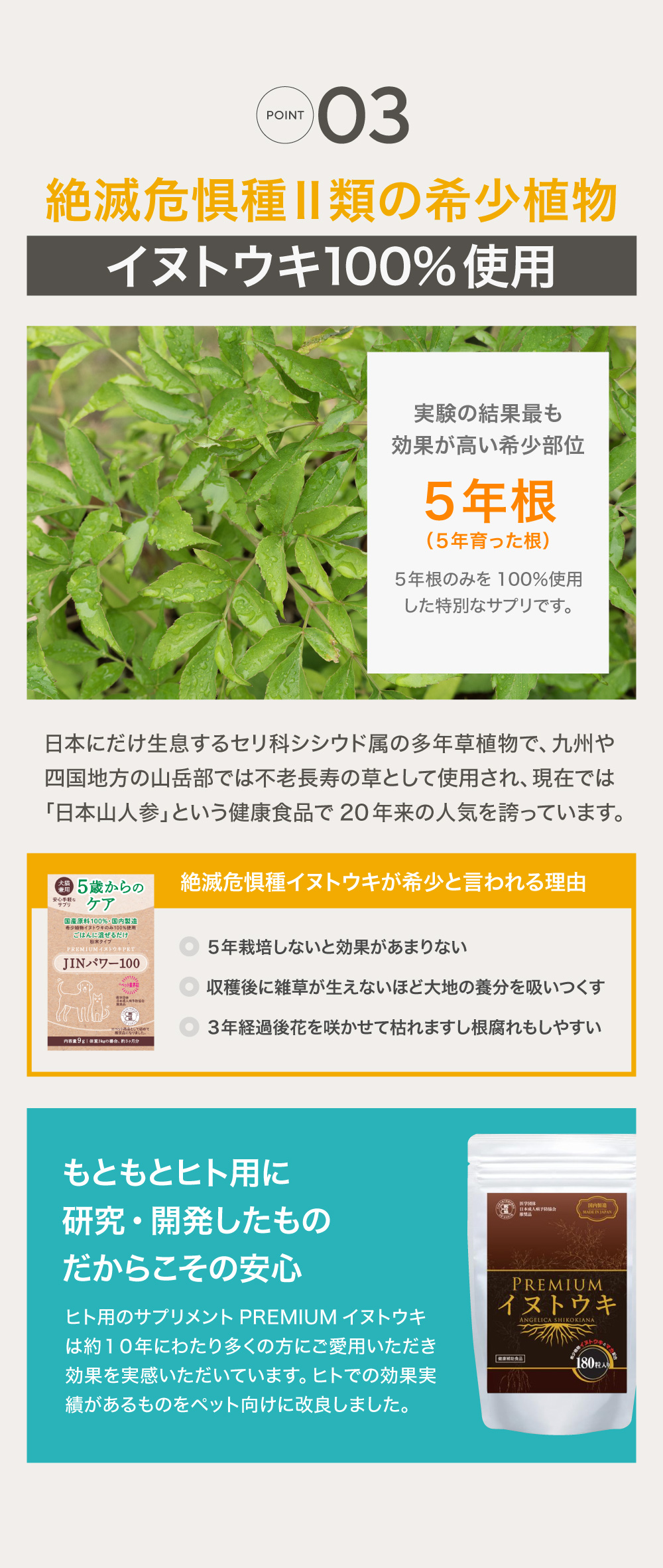 先着限定500名様 ドギーマンペット用ウェットシートをプレゼント🎁】犬