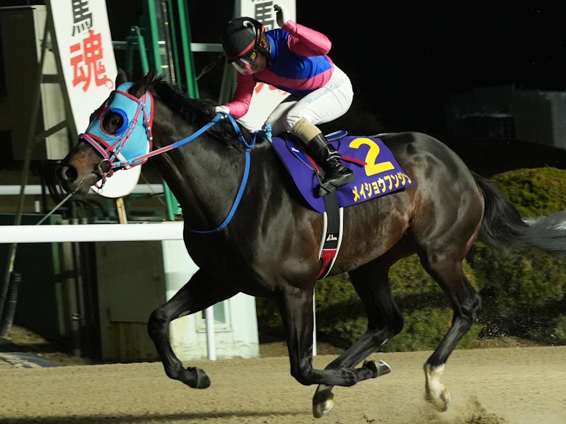 山崎エリカプロから地方競馬・森泰斗元騎手サイン入りグッズを抽選で3