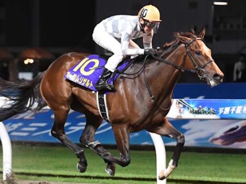 カラクニダケ - 競走馬データTOP｜競馬予想のウマニティ