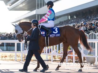 秋華賞】ジェンティルドンナ、牝馬3冠達成！｜競馬ニュース｜競馬予想
