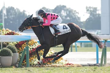 エピファネイア2010年産 - 競走馬データTOP｜競馬予想のウマニティ
