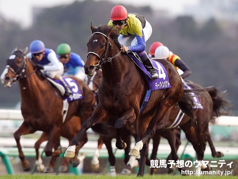 競馬］ディープインパクト（2005年日本ダービー）ミニゼッケン／JRA／武豊