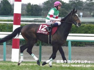 エピファネイア2010年産 - 競走馬データTOP｜競馬予想のウマニティ