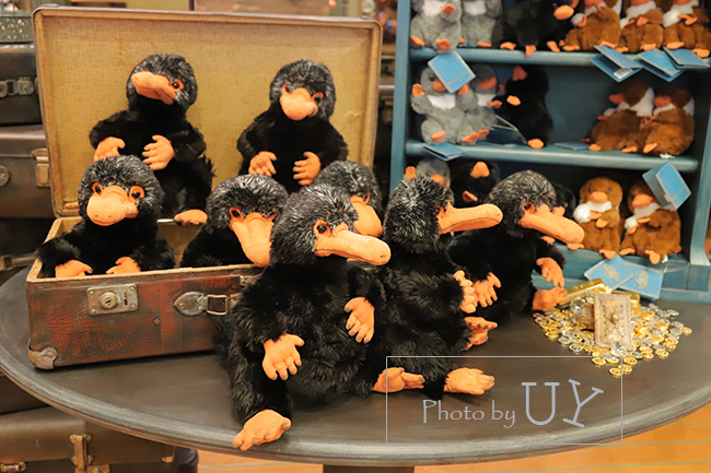 ファンタスティック・ビーストのニフラーのぬいぐるみのお土産 - USJ与